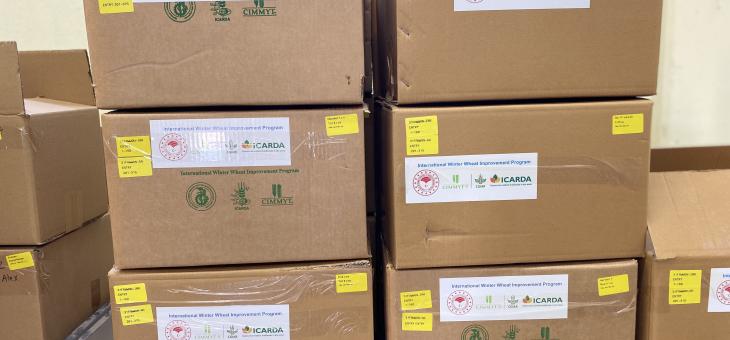 International Nursery Reports