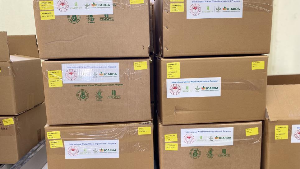 International Nursery Reports