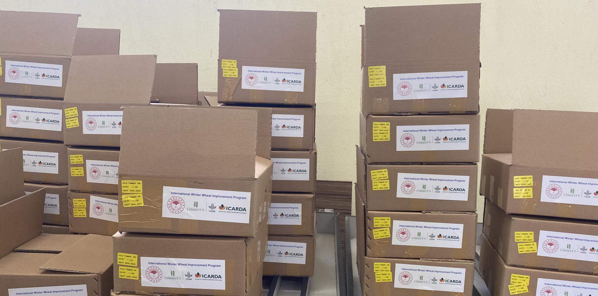 IWWIP International Nurseries are ready for distribution